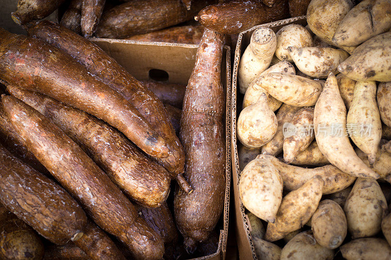 法国马赛:市场上的丝兰根/木薯(特写)